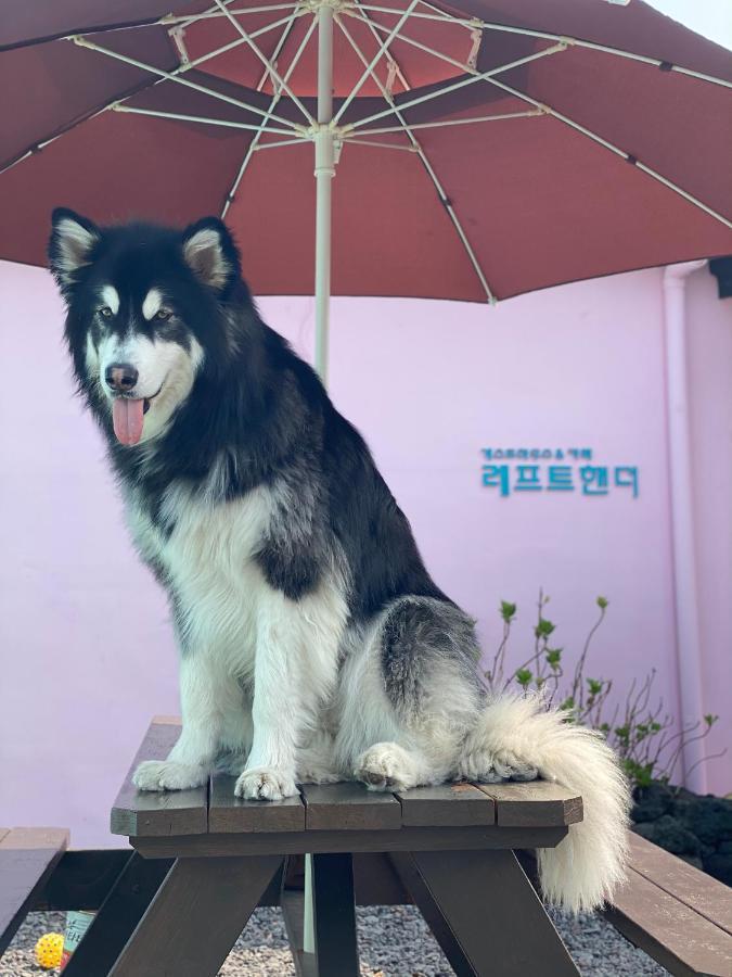 Lefthander Guesthouse Jeju by Eksteriør bilde